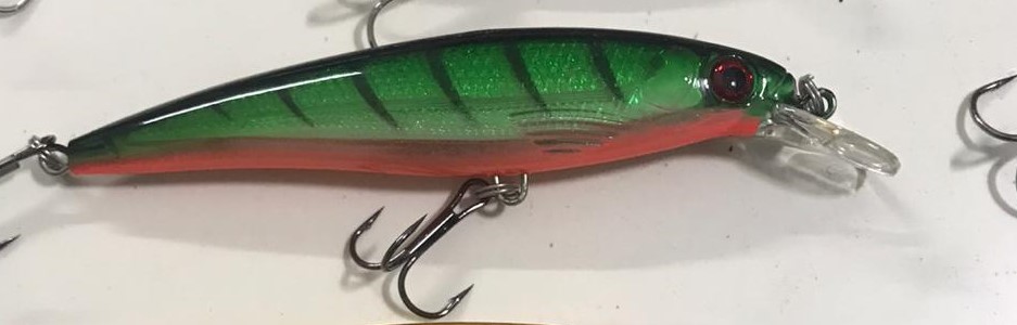 Other Minnows Lures – First Catch