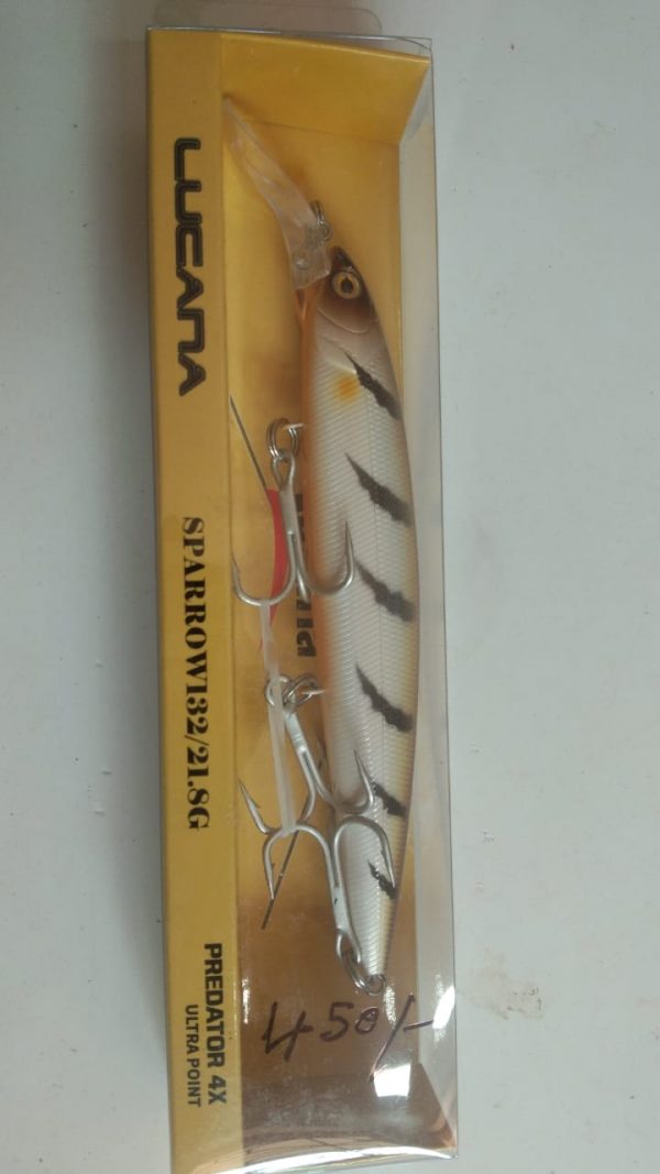 Lucana Predator Shad Soft Fishing Lure | Size: 10cm | 8g