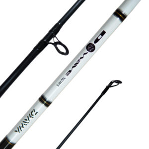 SPINNING ROD – First Catch