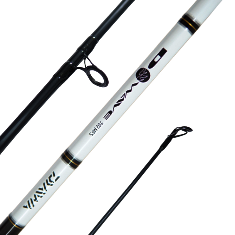 Daiwa D-Wave Rod Spinning Rod – First Catch